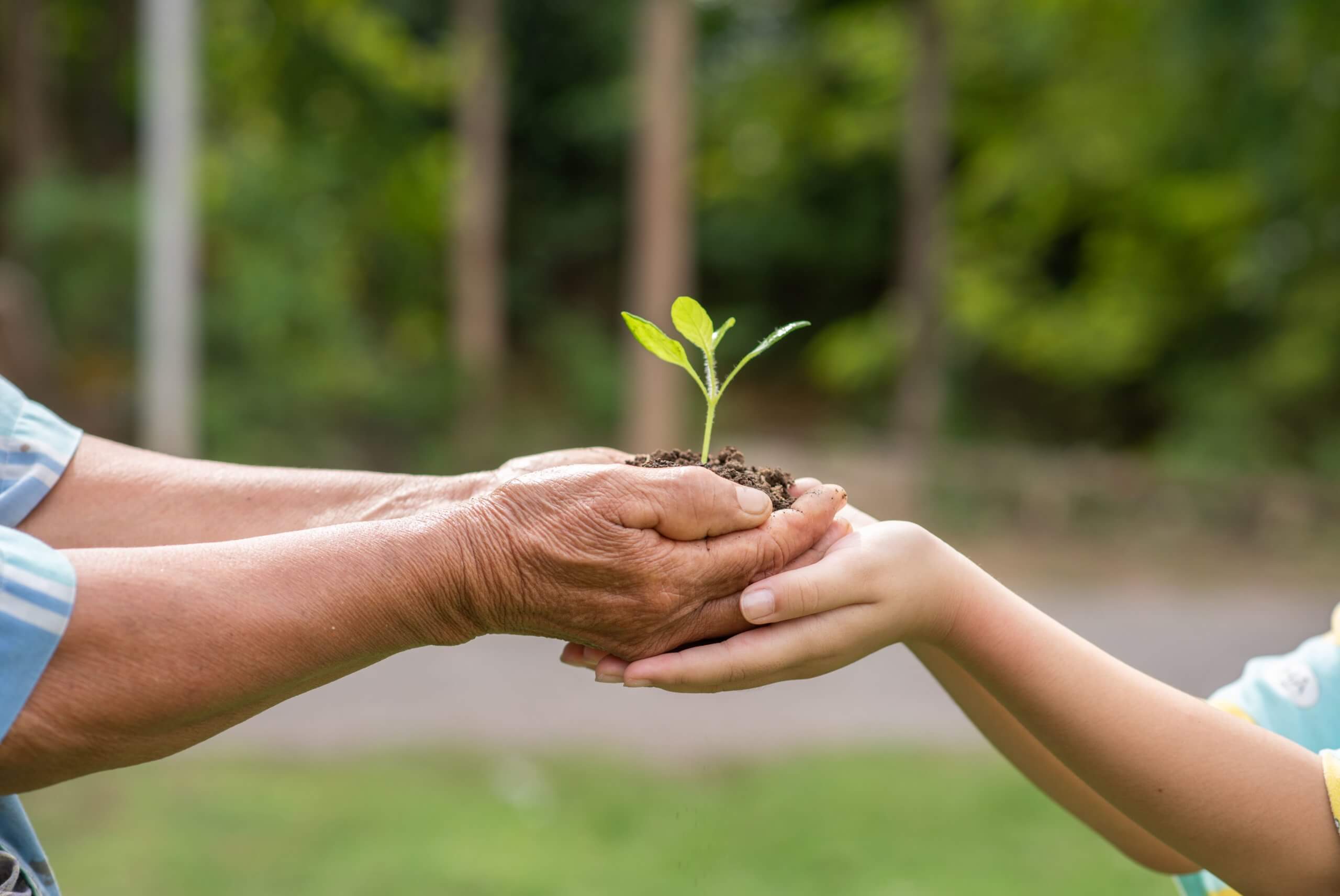 elderly person children holding plant min scaled